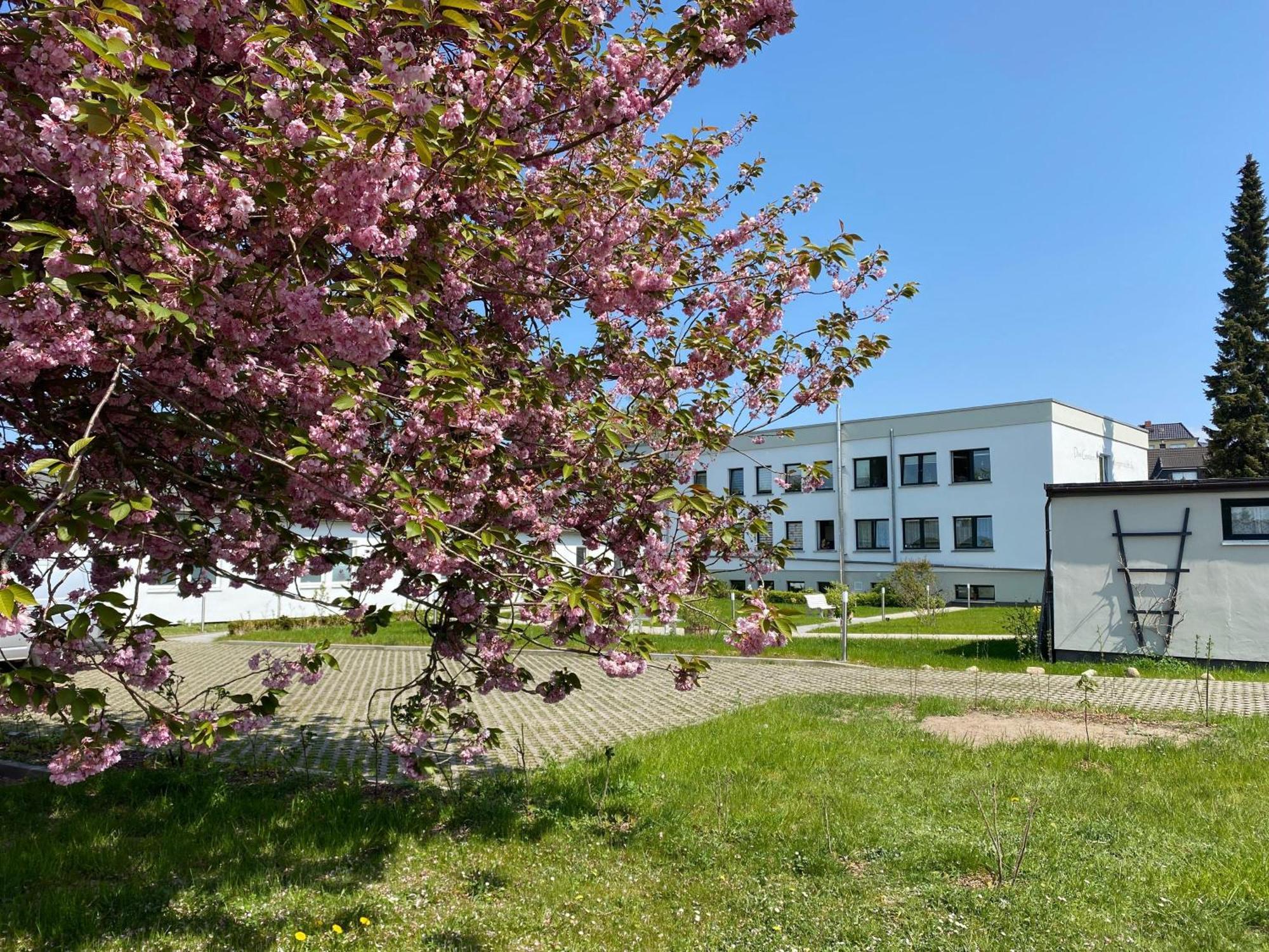 Apartment-Ferientiet Bergen Auf Rugen Bagian luar foto